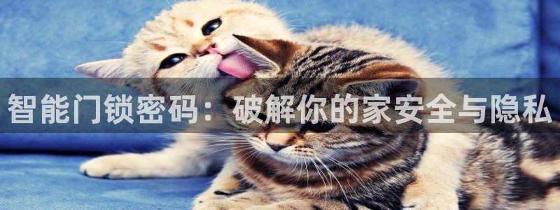 金年会手机app：智能门锁密码：破解你的家安全与隐私