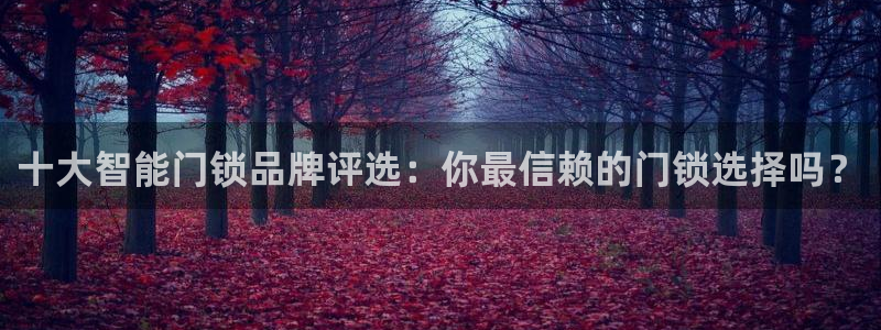 金年会官方体育登录入口：十大智能门锁品牌评选：你最信赖的门锁