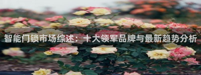 金年会金字招牌下载：智能门锁市场综述：十大领军品牌与最新趋势