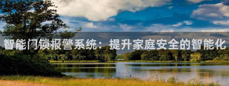 金年会体育娱乐：智能门锁报警系统：提升家庭安全的智能化