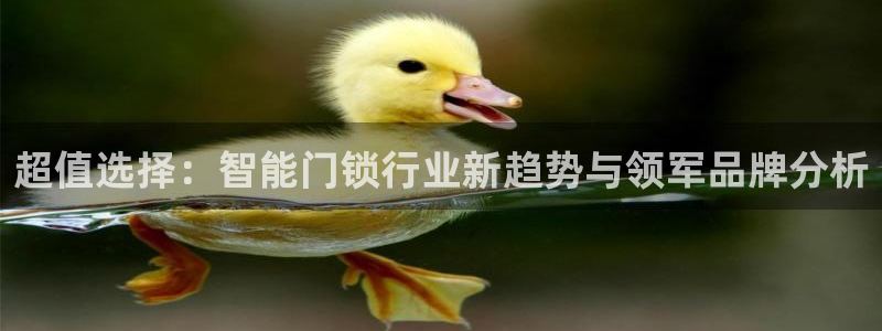 金年会金年华：超值选择：智能门锁行业新趋势与领军品牌分析