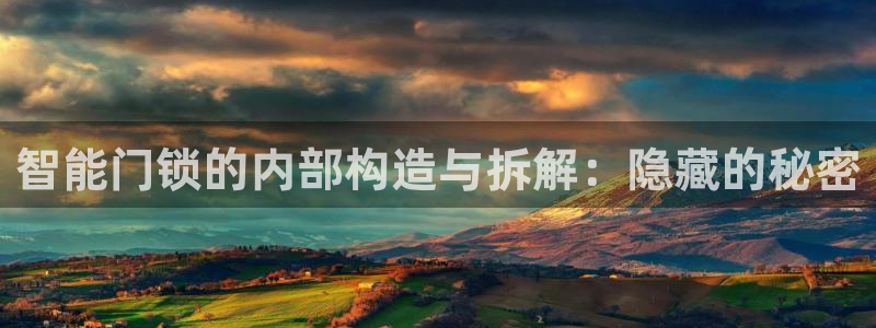 金年会在线：智能门锁的内部构造与拆解：隐藏的秘密