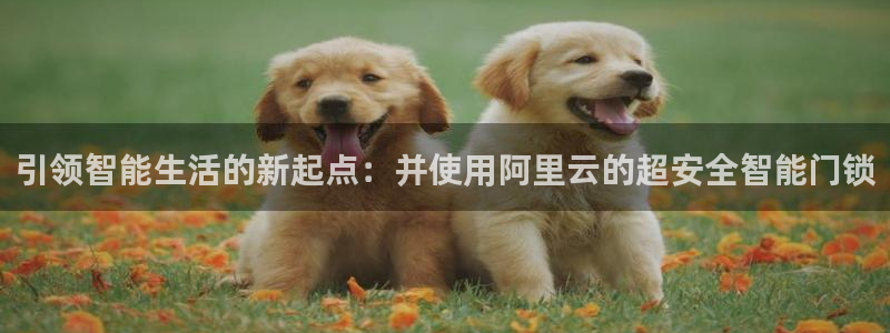 金年会棋牌：引领智能生活的新起点：并使用阿里云的超安全智能门