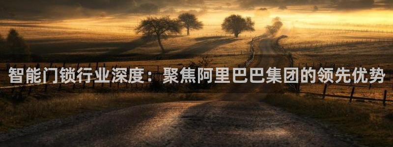 融通金年会：智能门锁行业深度：聚焦阿里巴巴集团的领先优势