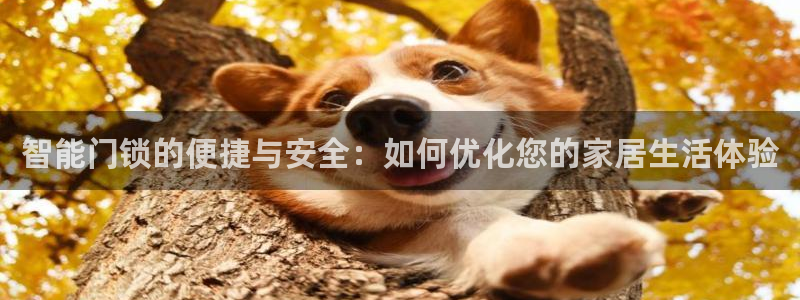 金年会娱乐和马竞