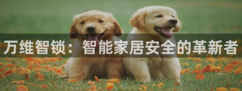 金年会体育官方下载：万维智锁：智能家居安全的革新者
