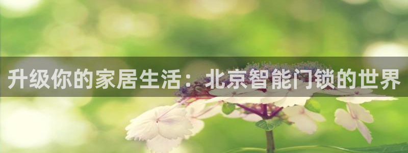 今年会送彩金28：升级你的家居生活：北京智能门锁的世界