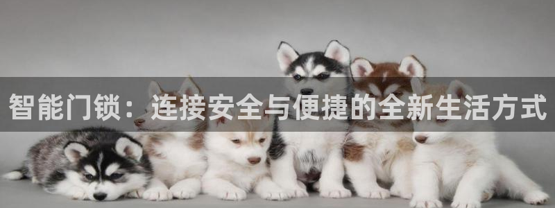 金年会体育官网：智能门锁：连接安全与便捷的全新生活方式