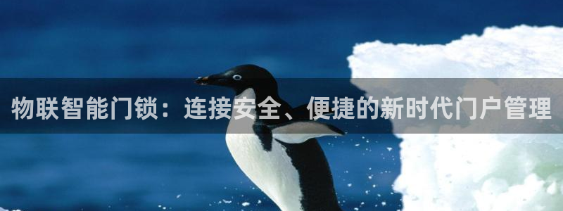金年会平台出款：物联智能门锁：连接安全、便捷的新时代门户管理