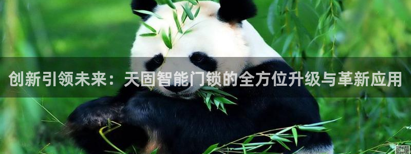 金年会全站：创新引领未来：天固智能门锁的全方位升级与革新应用
