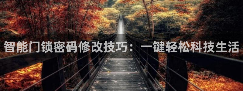 金联金年会：智能门锁密码修改技巧：一键轻松科技生活