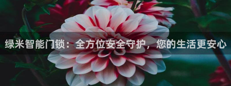 金年会登录平台入口：绿米智能门锁：全方位安全守护，您的生活更