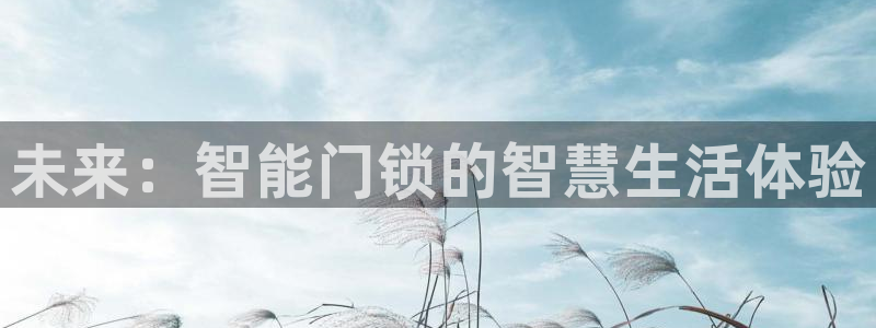 金年会 信誉至上：未来：智能门锁的智慧生活体验