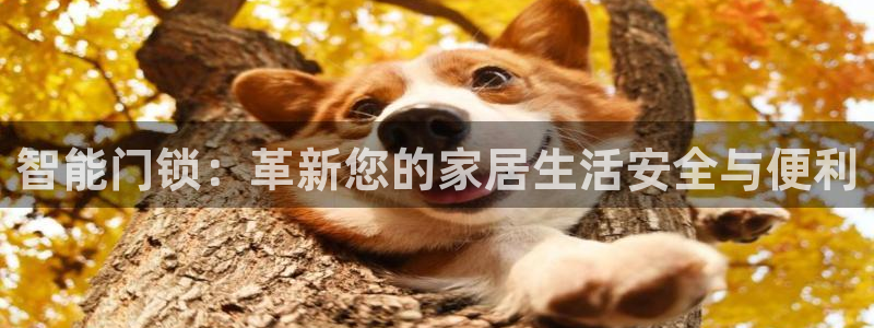 金年会推荐：智能门锁：革新您的家居生活安全与便利
