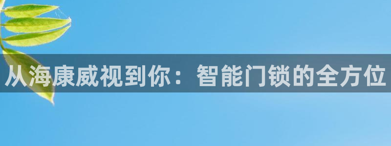 金进年会：从海康威视到你：智能门锁的全方位