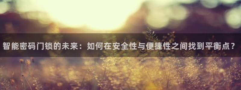 金年会游戏官网：智能密码门锁的未来：如何在安全性与便捷性之间