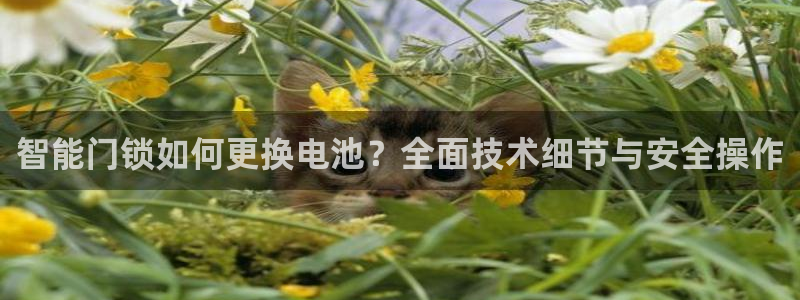 金年会体育官方下载：智能门锁如何更换电池？全面技术细节与安全