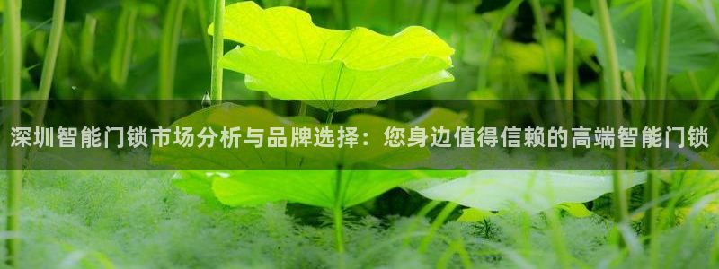 金年会官方客服：深圳智能门锁市场分析与品牌选择：您身边值得信