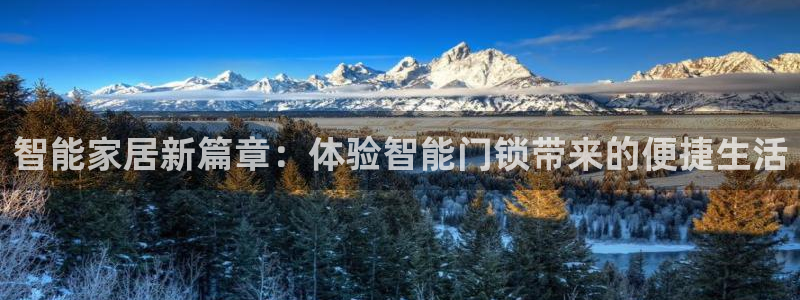年会金句心得：智能家居新篇章：体验智能门锁带来的便捷生活
