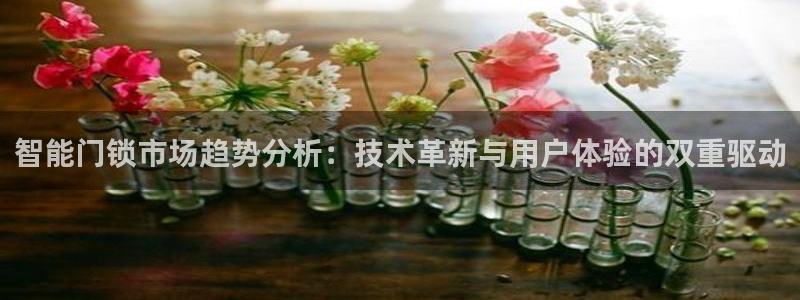 金年会娱乐下载app：智能门锁市场趋势分析：技术革新与用户体