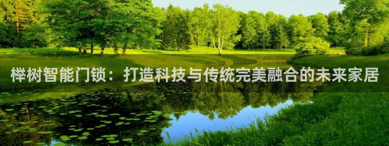 2022金年会：榉树智能门锁：打造科技与传统完美融合的未来家
