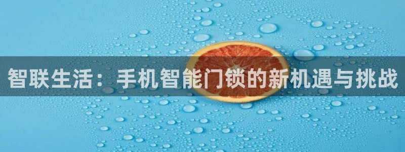 金年会app：智联生活：手机智能门锁的新机遇与挑战
