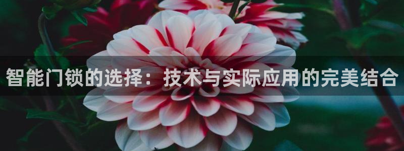 亚博金年会：智能门锁的选择：技术与实际应用的完美结合
