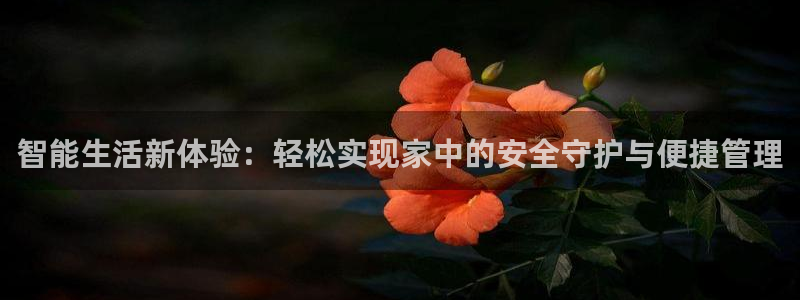 金年会最新登录：智能生活新体验：轻松实现家中的安全守护与便捷