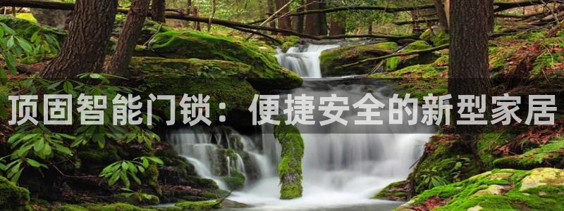 金年会 中国 金年会：顶固智能门锁：便捷安全的新型家居