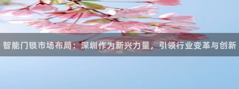 金年会平台登陆：智能门锁市场布局：深圳作为新兴力量，引领行业