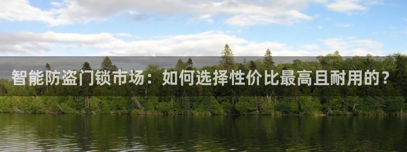金年会活动策划：智能防盗门锁市场：如何选择性价比最高且耐用的
