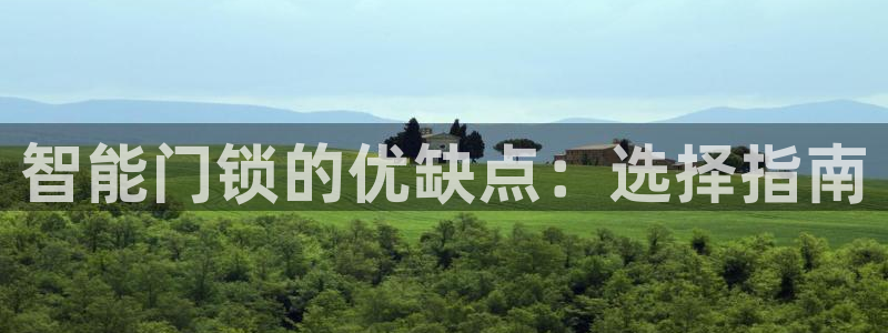 金年会安装：智能门锁的优缺点：选择指南