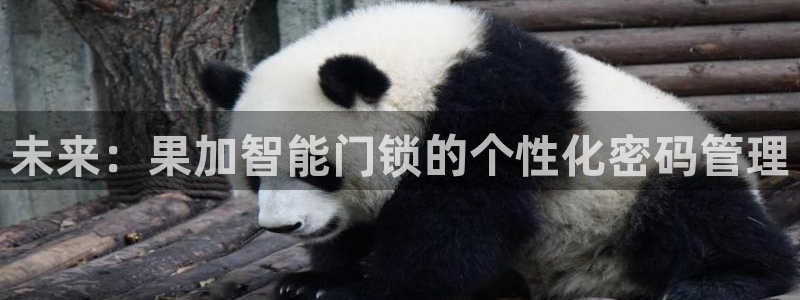 金年会不给提现：未来：果加智能门锁的个性化密码管理