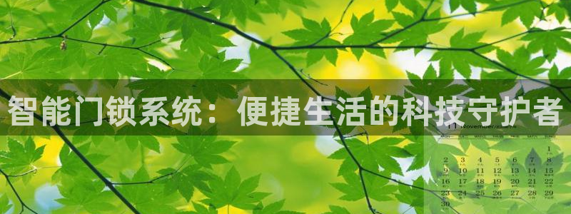 金年会在线下载：智能门锁系统：便捷生活的科技守护者