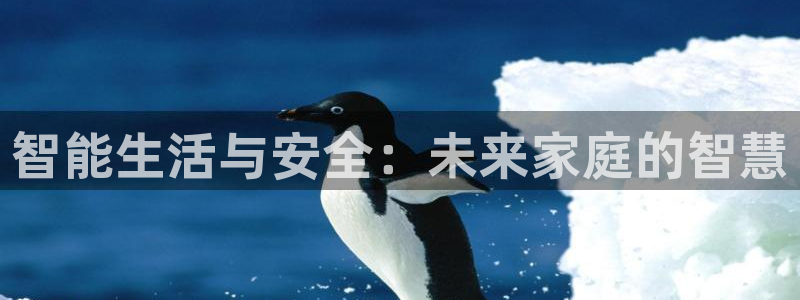 金年会 平台：智能生活与安全：未来家庭的智慧