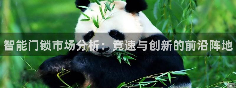 金年会是赌博的吗：智能门锁市场分析：竞速与创新的前沿阵地