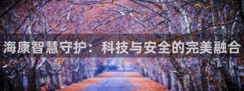 金年会jinnian：海康智慧守护：科技与安全的完美融合