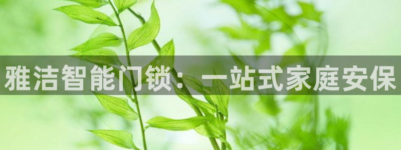 金金年会：雅洁智能门锁：一站式家庭安保
