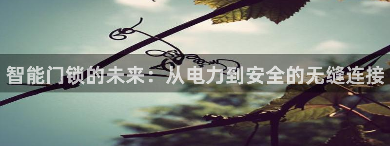 金年会体育app：智能门锁的未来：从电力到安全的无缝连接