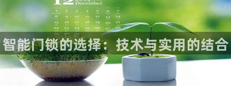 今年会送彩金28：智能门锁的选择：技术与实用的结合