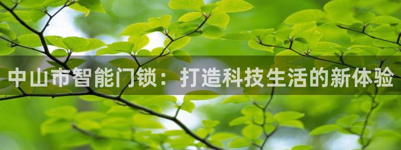 金年会最新登录：中山市智能门锁：打造科技生活的新体验