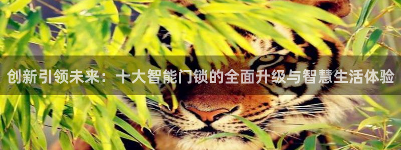 金年会网登录平台入口：创新引领未来：十大智能门锁的全面升级与