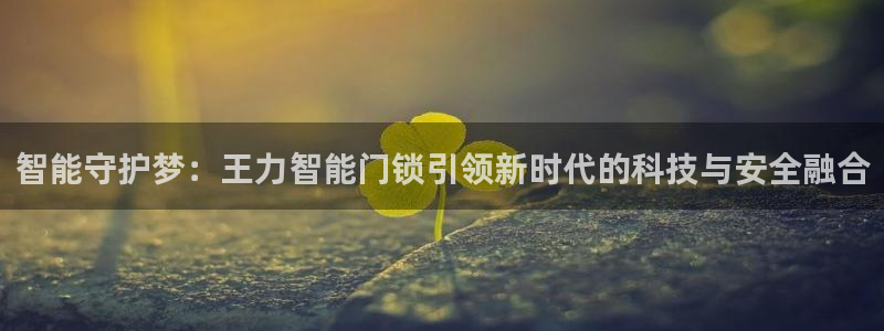 金年会和万博：智能守护梦：王力智能门锁引领新时代的科技与安全