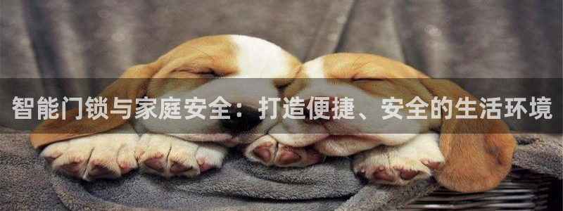 金年会嗨聊app下载：智能门锁与家庭安全：打造便捷、安全的生