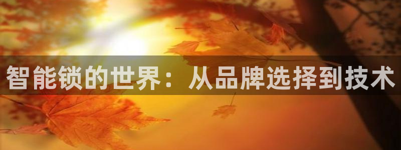 金年会：智能锁的世界：从品牌选择到技术