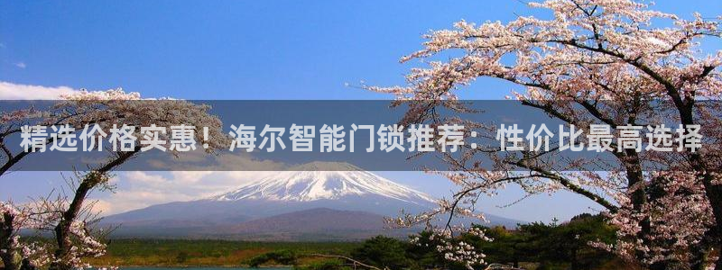 澳门娱乐金年会：精选价格实惠！海尔智能门锁推荐：性价比最高选