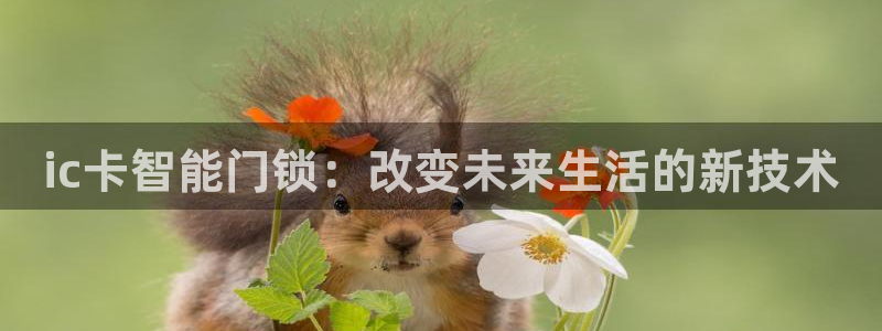 金年会官网app下载：ic卡智能门锁：改变未来生活的新技术