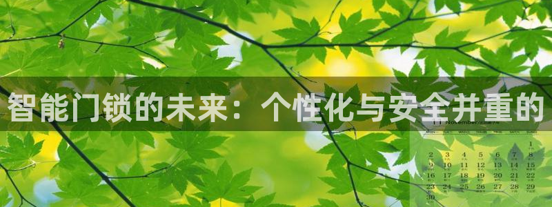 金进年会：智能门锁的未来：个性化与安全并重的