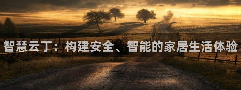 金年会彩票软件：智慧云丁：构建安全、智能的家居生活体验