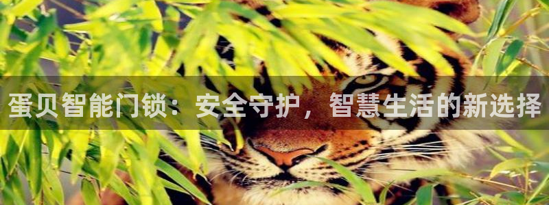 金年会是真的吗：蛋贝智能门锁：安全守护，智慧生活的新选择